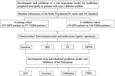 Development and validation of a risk nomogram model for predicting peripheral neuropathy in patients with type 2 diabetes mellitus